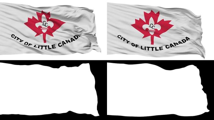 明尼苏达州小加拿大市的孤立挥舞国旗