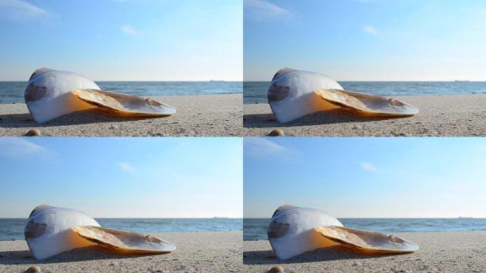 波浪背景下沙子上的鸡壳。