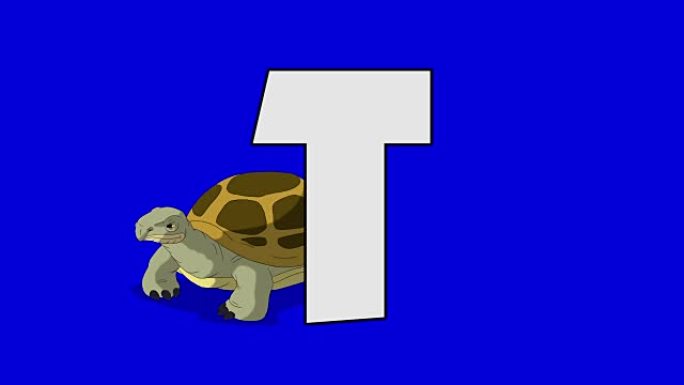 字母T和乌龟 (背景)