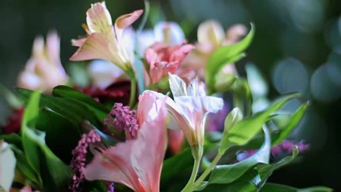特写镜头，花束在光线中，旋转，花卉组成由红花，红花，非洲菊，一枝花组成。神圣的美丽。背景是很多绿色植