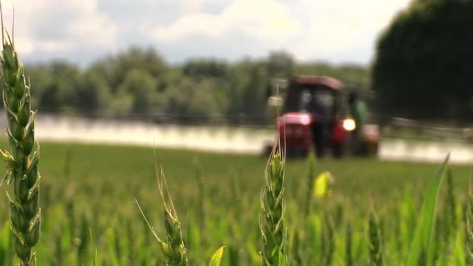小麦和拖拉机向田地喷洒化肥