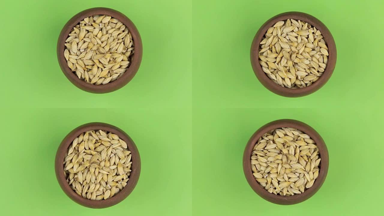 在绿色屏幕上隔离的锅中旋转大麦谷物。