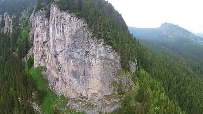 壮观的岩石石灰岩墙覆盖着枞树，扎诺阿加峡谷的高山景观，布吉自然公园，罗马尼亚，空中无人机拍摄