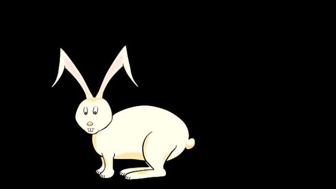 兔子啤酒花-动画-透明