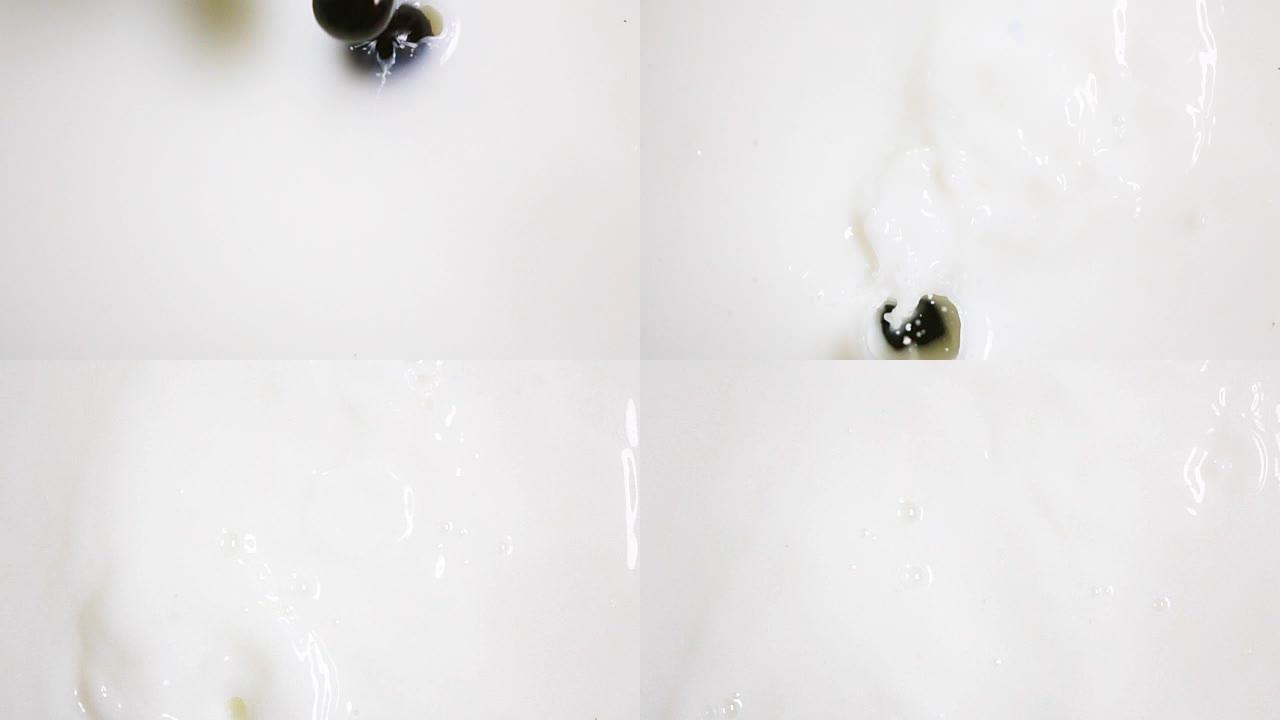 葡萄的黑浆果掉入牛奶中