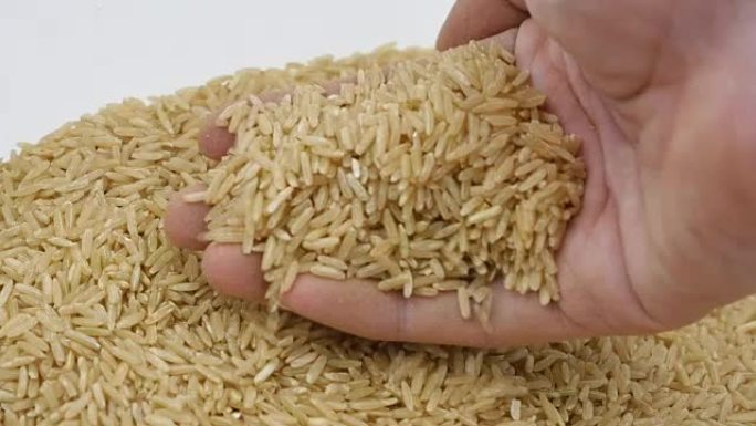 用手生糙米粒。
