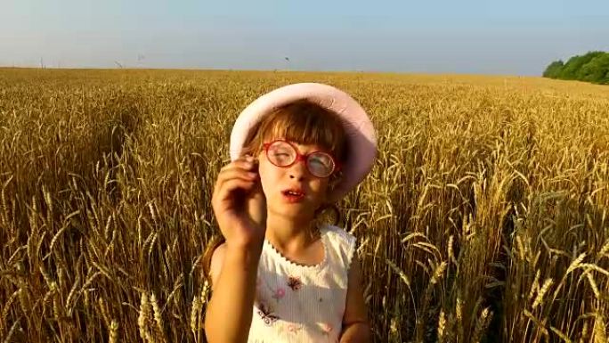 小女孩检查小麦谷物的质量。小麦变黄了。很快它将开始收获。