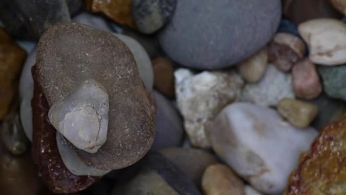 海石和蚝壳旋转