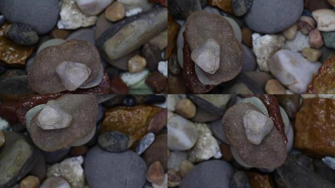 海石和蚝壳旋转