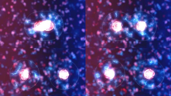 细胞分裂的运动图