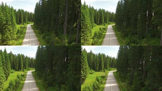 摄像机飞越森林之路