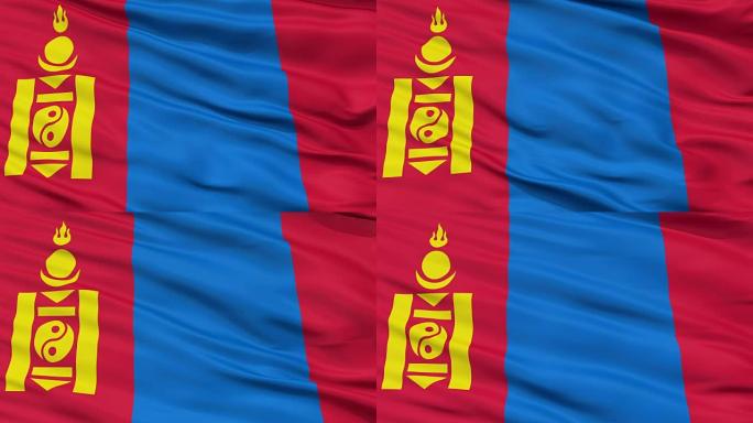 近距离看飘扬的蒙古国旗