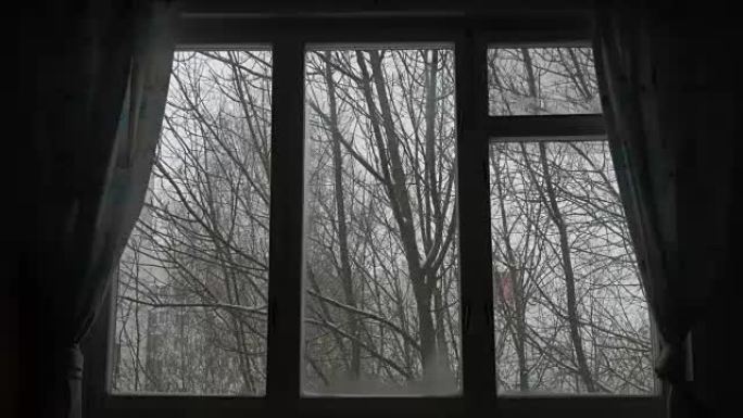风震动树木，透过窗户看到的树木和积雪落在树林中