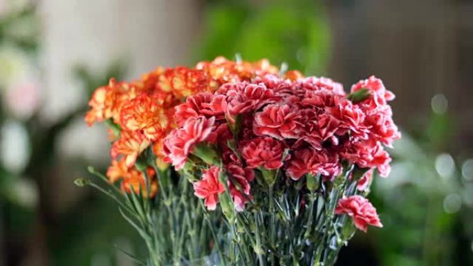 花束中的光线，旋转，花卉组成由亮黄色，橙色和粉红色的土耳其康乃馨。背景是很多绿色植物