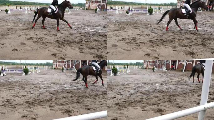 职业女骑师骑马。马在沙滩上奔跑，跳过障碍物。慢动作