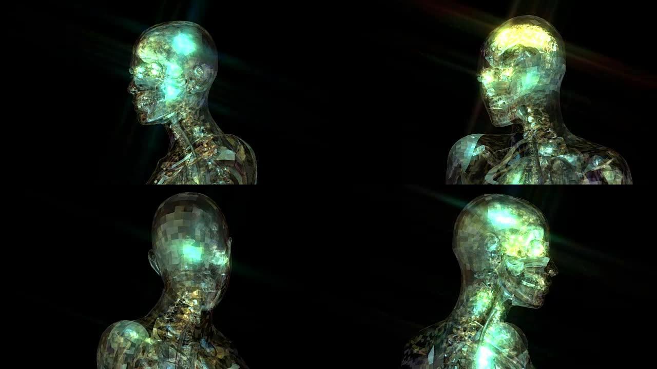 人体解剖学的数字3D动画