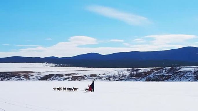 在冰冻的贝加尔湖冰面上的狗拉雪橇