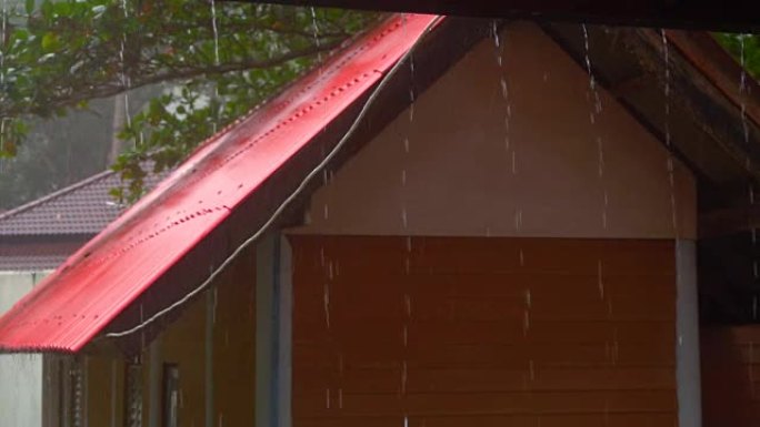 热带倾盆大雨