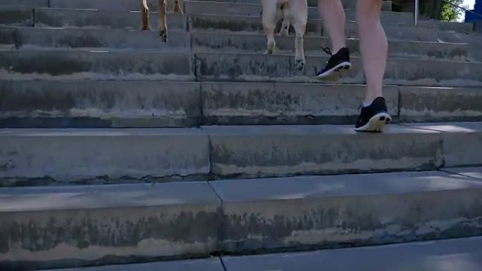 带着两只狗的女孩在公园里走上楼梯