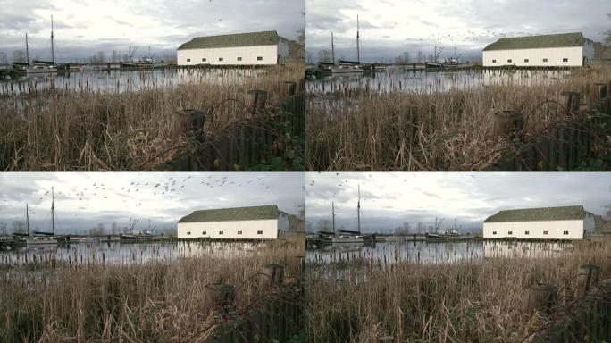不列颠尼亚传统船厂4K摄影