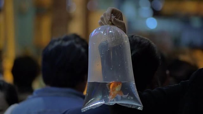 拥挤的街道上有鱼的塑料袋