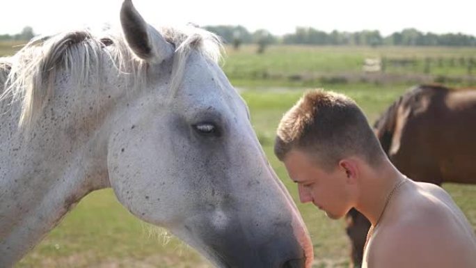 年轻英俊的男人在户外拥抱和抚摸白马。盖伊在田野里拥抱一匹马，爱抚和抚摸种马。对动物的爱。特写
