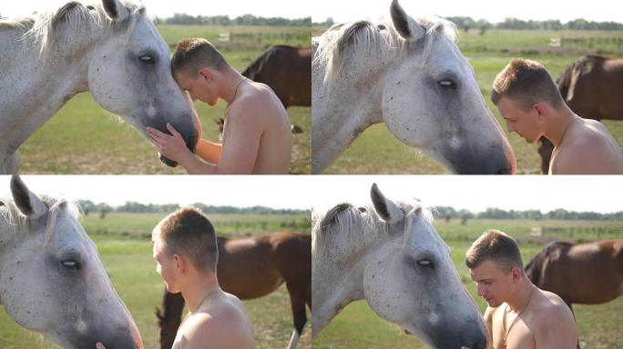 年轻英俊的男人在户外拥抱和抚摸白马。盖伊在田野里拥抱一匹马，爱抚和抚摸种马。对动物的爱。特写