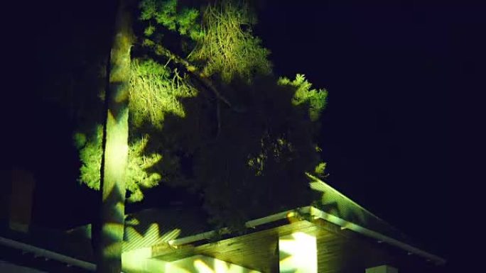 闪烁的光斑射线lumiere和在树上闪烁-夜间音乐会和庆祝烟雾