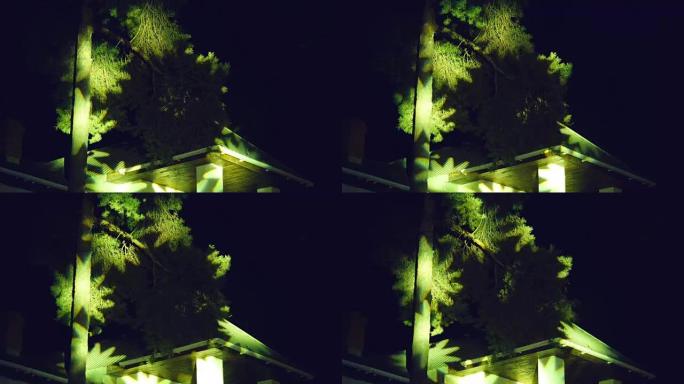 闪烁的光斑射线lumiere和在树上闪烁-夜间音乐会和庆祝烟雾
