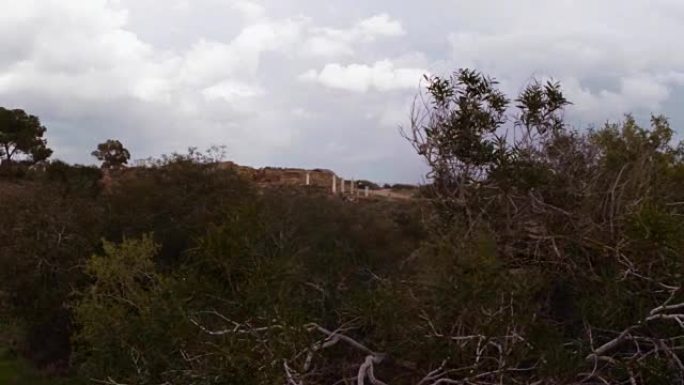 绿树远有一些古董白色柱子废墟古镇萨拉米斯东塞浦路斯法马古斯塔