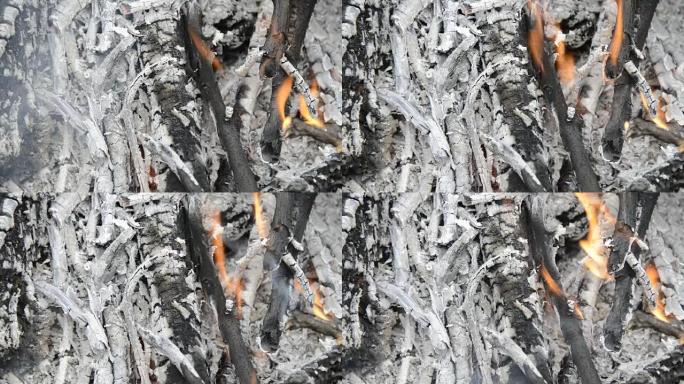 仔细观察燃烧的木头