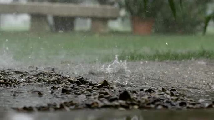 在农业旅游胜地的泥泞中淋雨