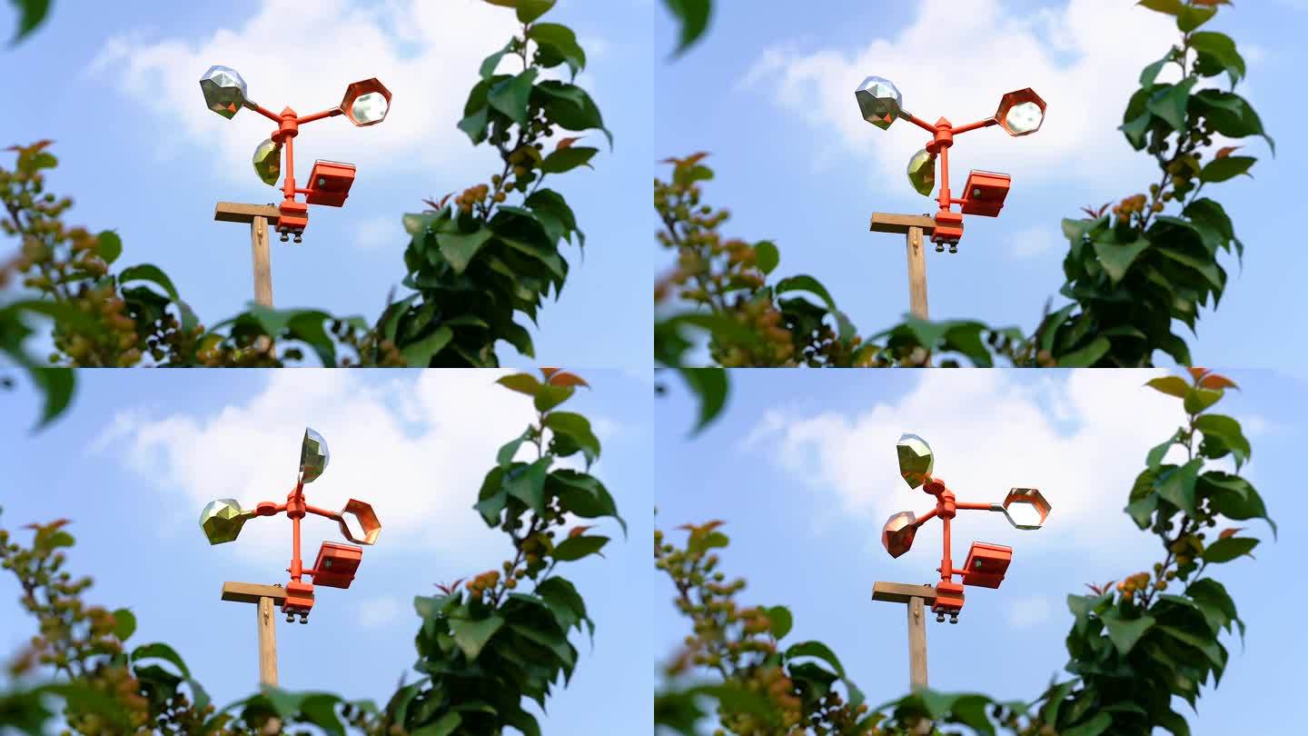 原创实拍樱桃园里的驱鸟设备近景