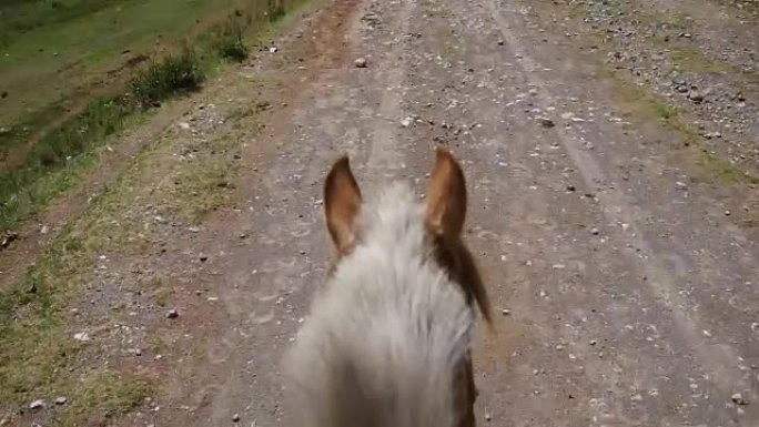 骑乘者视角的山地土路上的马