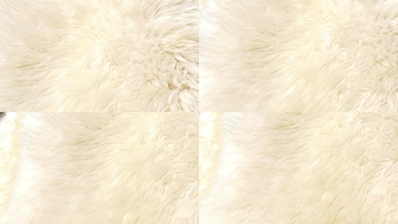 GH4 4K UHD颜色为白色的小羊皮或毛皮