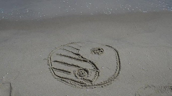 银和燕在沙滩上。