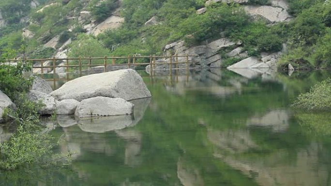 中国宁静的绿色池塘
