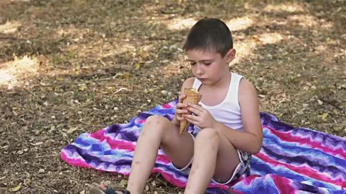 小男孩贪婪地在公园里吃冰淇淋
