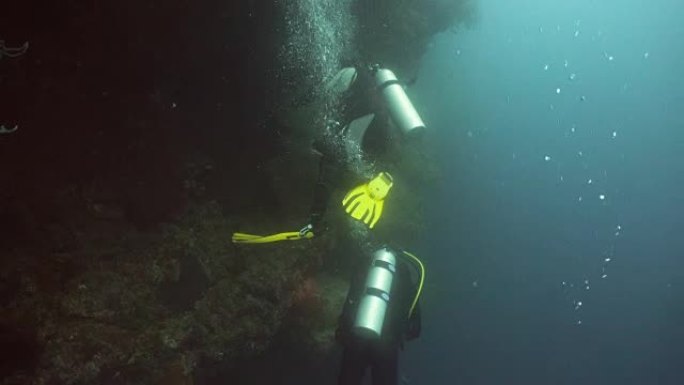 水下潜水员潜水员海洋大海野生动物