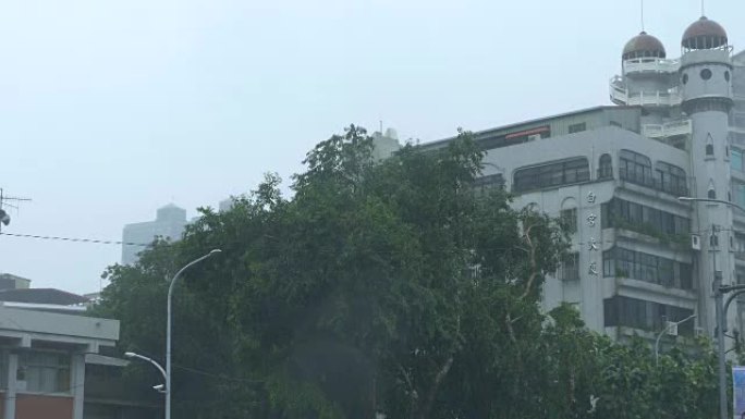 拍摄台风中的公寓楼和树木