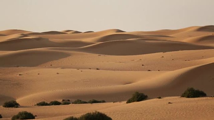 阿联酋-沙漠沙丘