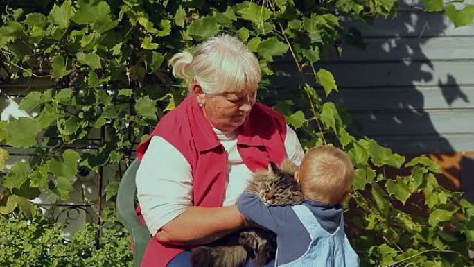 祖母和她的小孙子在花园里抚摸一只猫