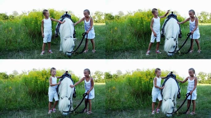 孩子们，一个男孩和一个七年的女孩，抚摸着一头白色的小马。快乐快乐的家庭假期。户外，夏天，森林附近