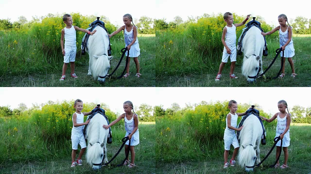 孩子们，一个男孩和一个七年的女孩，抚摸着一头白色的小马。快乐快乐的家庭假期。户外，夏天，森林附近