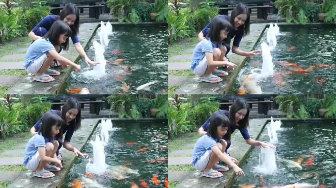 亚洲女孩和母亲在池塘里为鲤鱼喂食食物