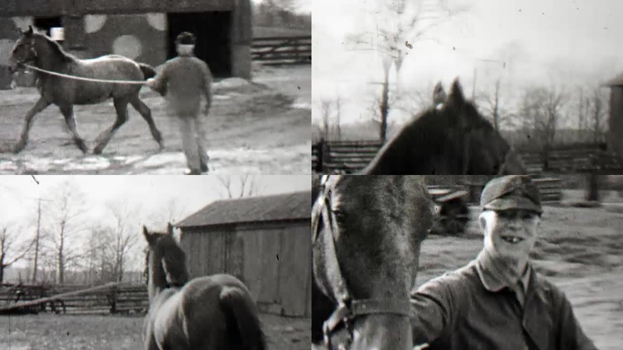 1938: 人绳训练野马跑圈乡村农场。