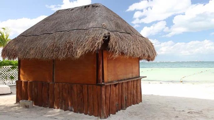 加勒比海有棕榈叶屋顶的热带木屋