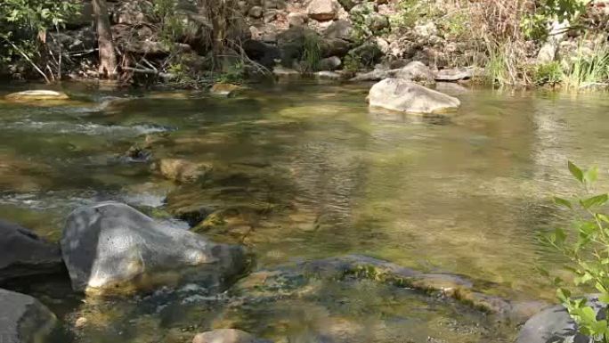 克里克·沃特斯轻轻地移动