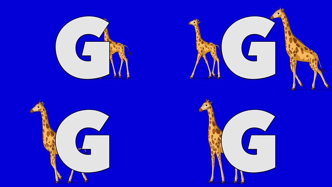 字母G和长颈鹿 (背景)