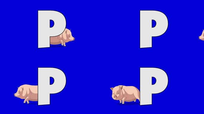 字母P和猪 (背景)